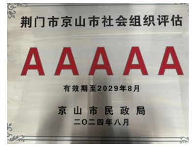 5A级社会组织