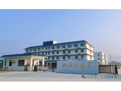 湖北火流星食品有限公司